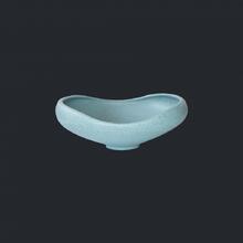 MG300