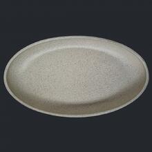PP31
