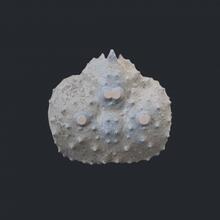 KT120