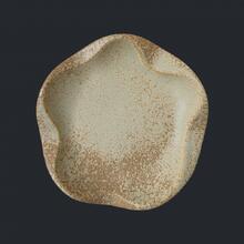QL21